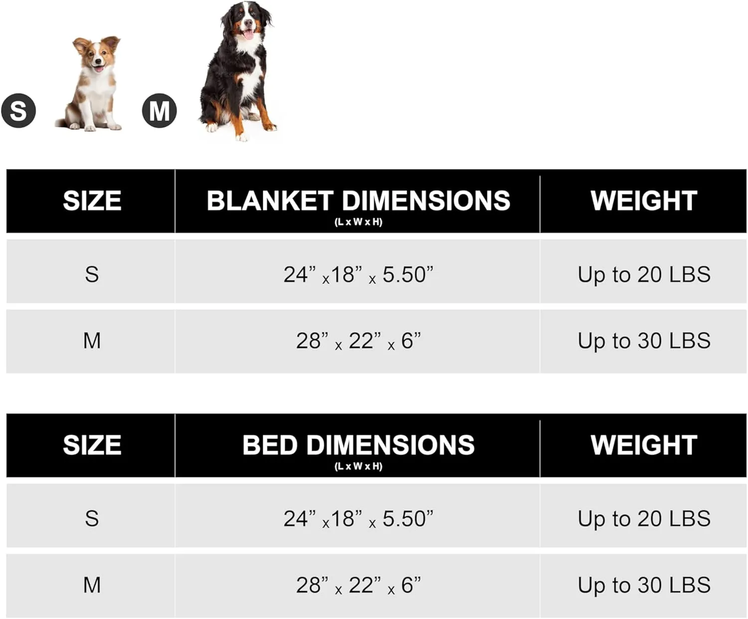 -kit Orthopedic Dog Bed with Blanket - Waterproof - Washable Cover and Memory Foam Dog Bed - Cama para Perros Small Size Gray.