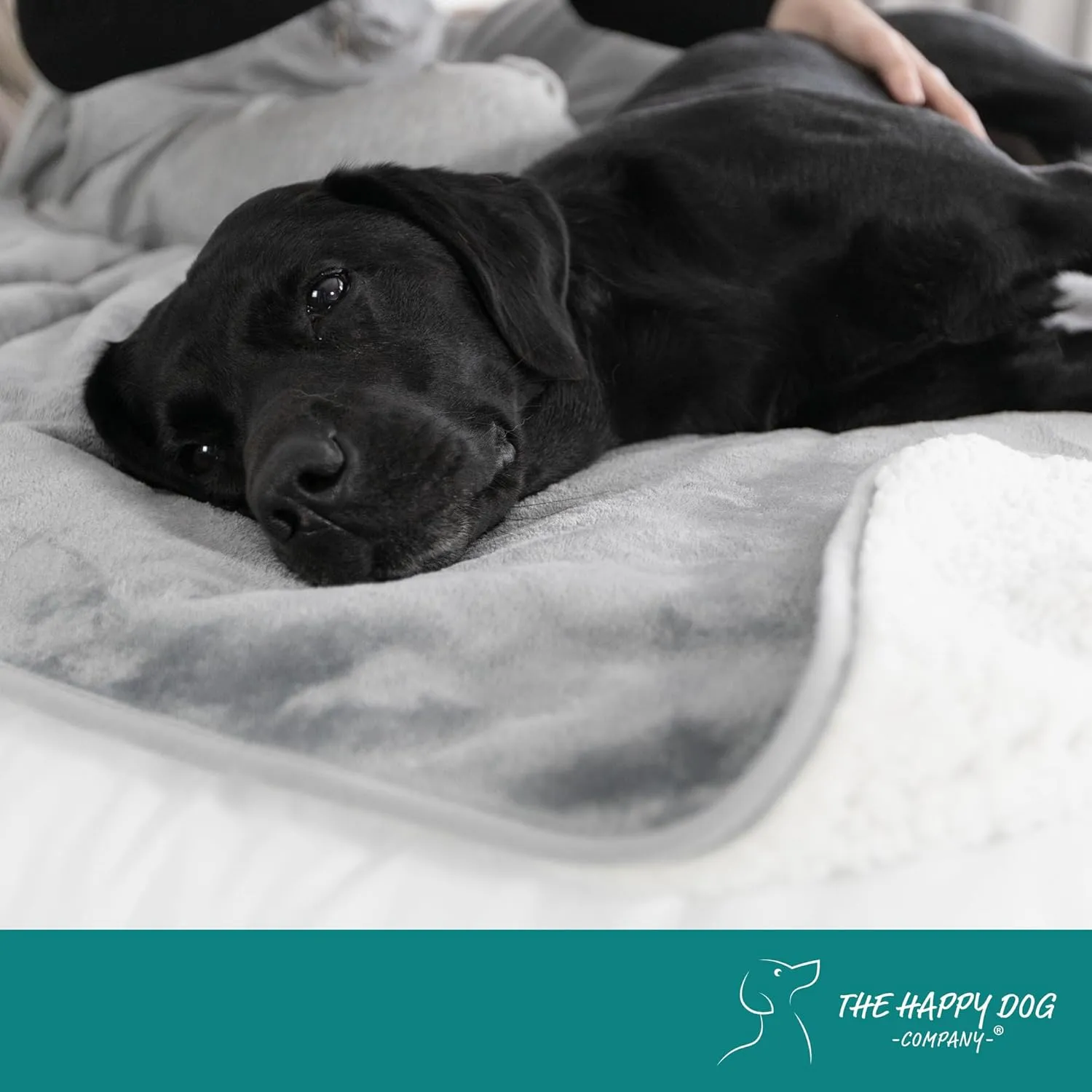 100% Waterproof Dog Blankets for Large Dogs  Soft Fleece, Washable Pet Throw for Couch, Car, Bed & Furniture Protection, Soft Fluffy Reversible Blanket, 39x47, Gray/White