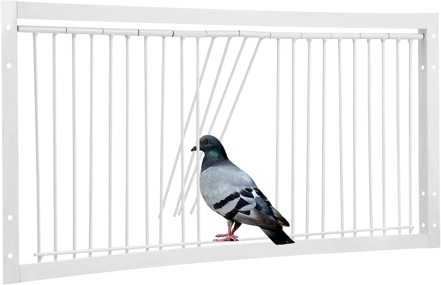 10.2in/26cm Pigeon Cage Door Birdcage Door One Way Entrance Door Bird T Trap Birdcage Iron Wire Trap Door for Racing Pigeon Bird Cage Breeding Supply Racing - White