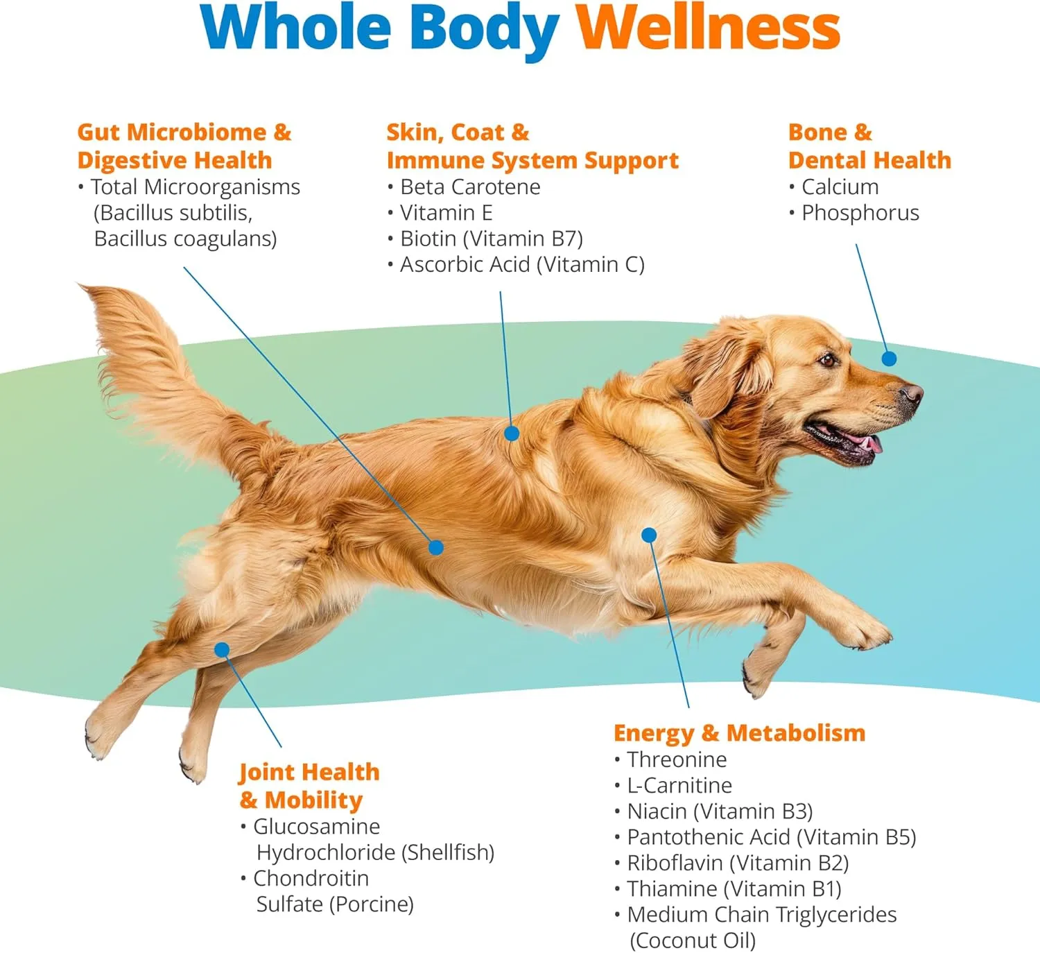 5Strands Dog Multivitamin Chews, 10-in-1, Vitamins & Postbiotics, All Ages & Breeds - Digestion, Brain, Organs, Heart, Mobility, Vision, Skin & Coat, Immunity - Dog Supplement (Peanut Butter, 90ct)