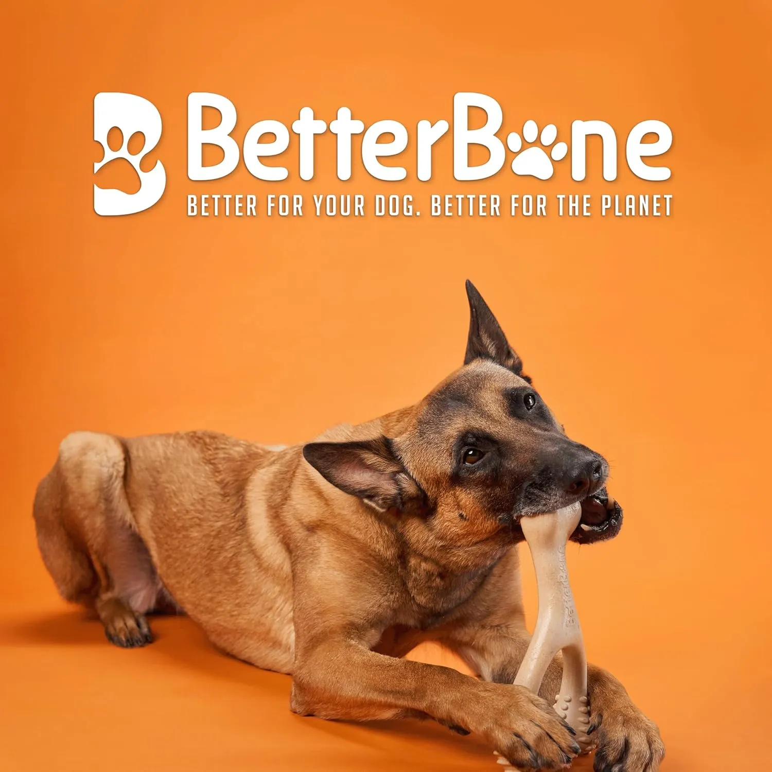 All-Natural, Nylon-Free Dog Chew Toys - Hard Density - Ideal for Strong to Aggressive Chewers - Non-Toxic, Promotes Dental Health, Splinter-Resistant, Sustainably Made