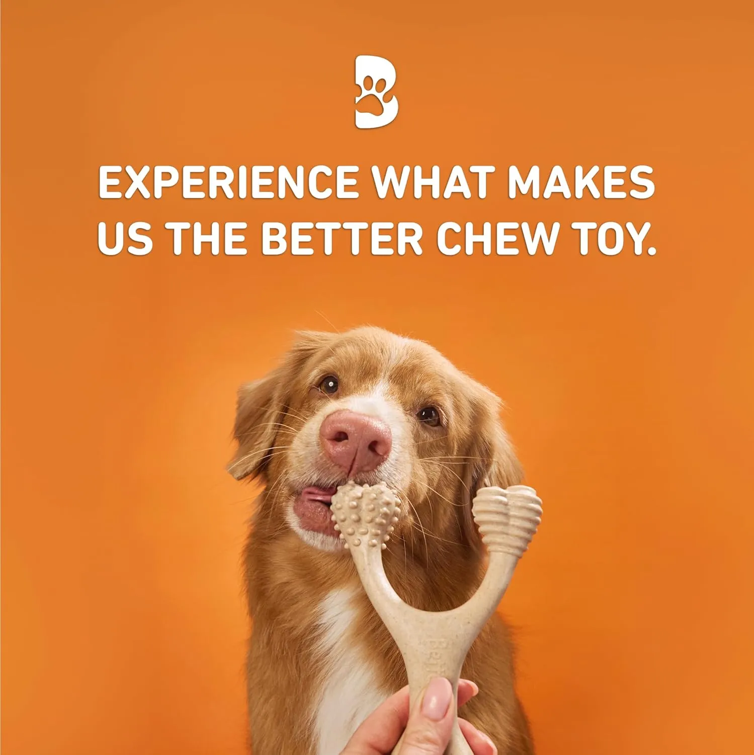 All-Natural, Nylon-Free Dog Chew Toys - Hard Density - Ideal for Strong to Aggressive Chewers - Non-Toxic, Promotes Dental Health, Splinter-Resistant, Sustainably Made
