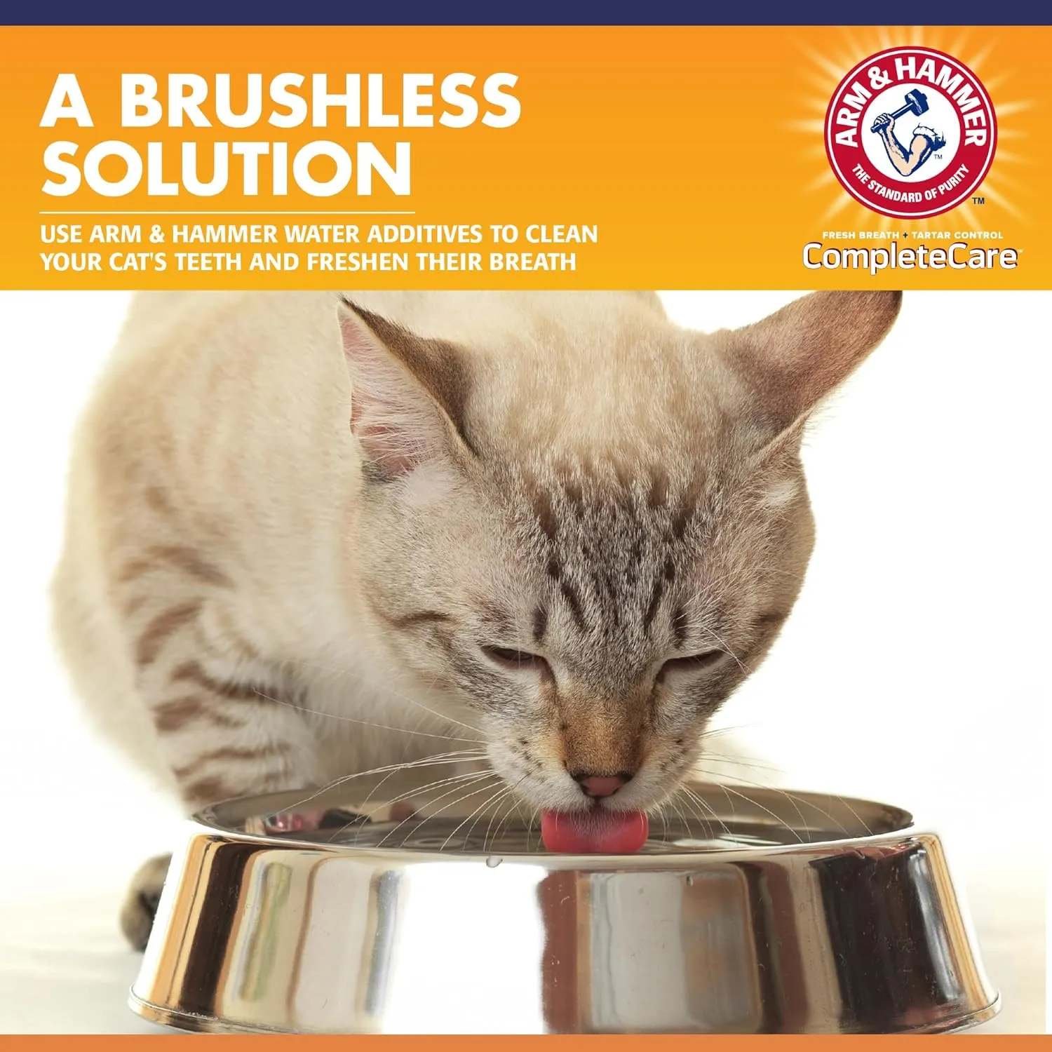 Arm & Hammer Complete Care Fresh Dental Water Additive for Cats - Cat Dental Care Solution for Bad Breath, Includes Cat Toothpaste Enzymatic Action, Ideal for Cat Grooming Supplies, 8 Fl Oz - 2 Pack