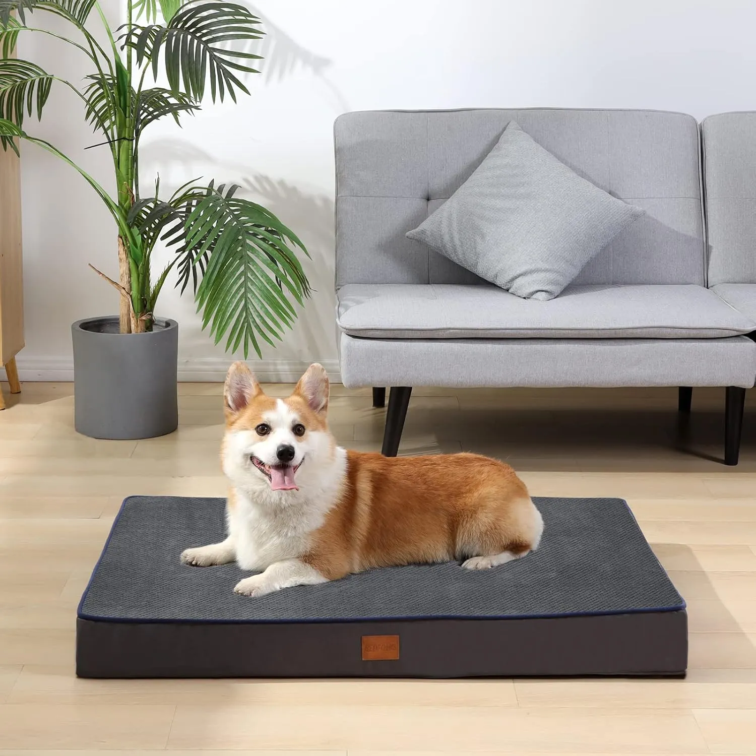 Bedfolks 4" Thick Orthopedic Extra Large Dog Bed, Memory Foam with Removable Cover, Reversible Washable Mattress for Crate, Dark Grey
