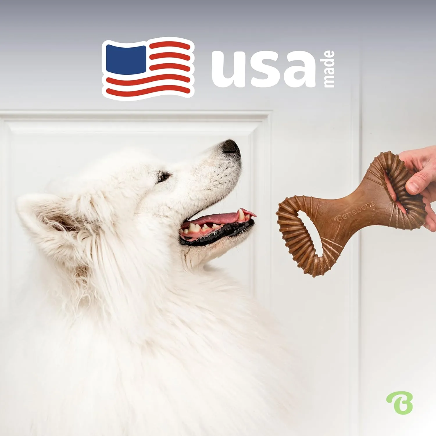 Benebone Dental Durable Dog Chew Toy for Aggressive Chewers, Real Bacon, Made in USA, Medium