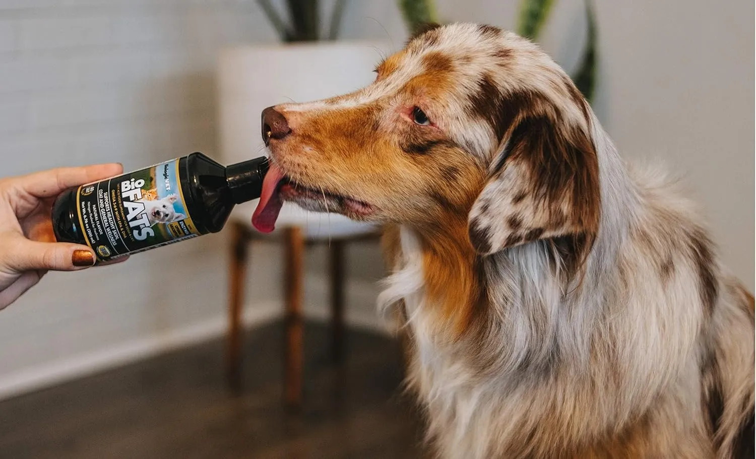 BioFATS - Contains Omegas 3, 6 & 9 - with EPA, DHA & ALA - for Dog & Cat - Skin & Joint Health Support - Includes Fish, Flaxseed & Olive Oil - 12 fl. oz.