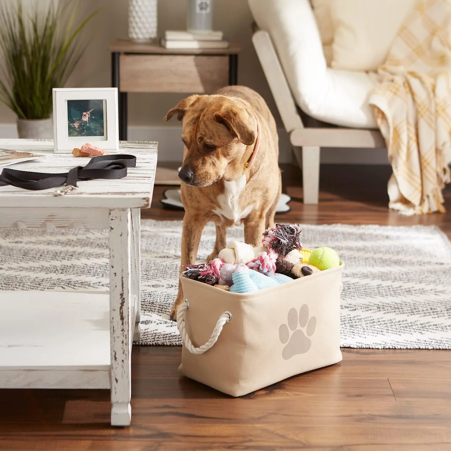 Bone Dry Pet Storage Collection Collapsible Bin, Small Rectangle, Taupe