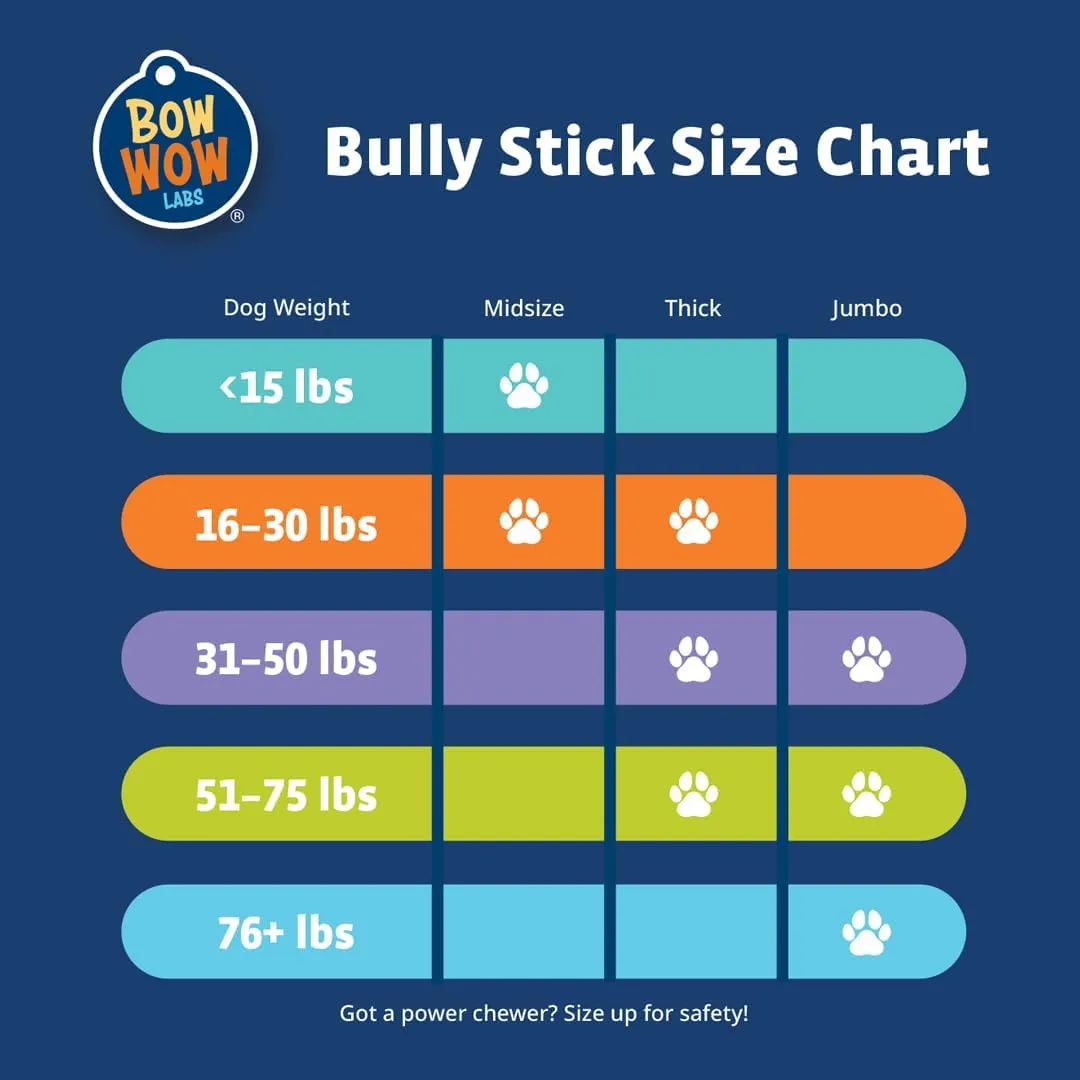 Bow Wow Labs 6" Bully Sticks for Dogs | 100% All Natural, Grass-Fed, Free-Range Beef | Low Odor | Long Lasting Chews | SafeFit | 10 Pack (Midsize)