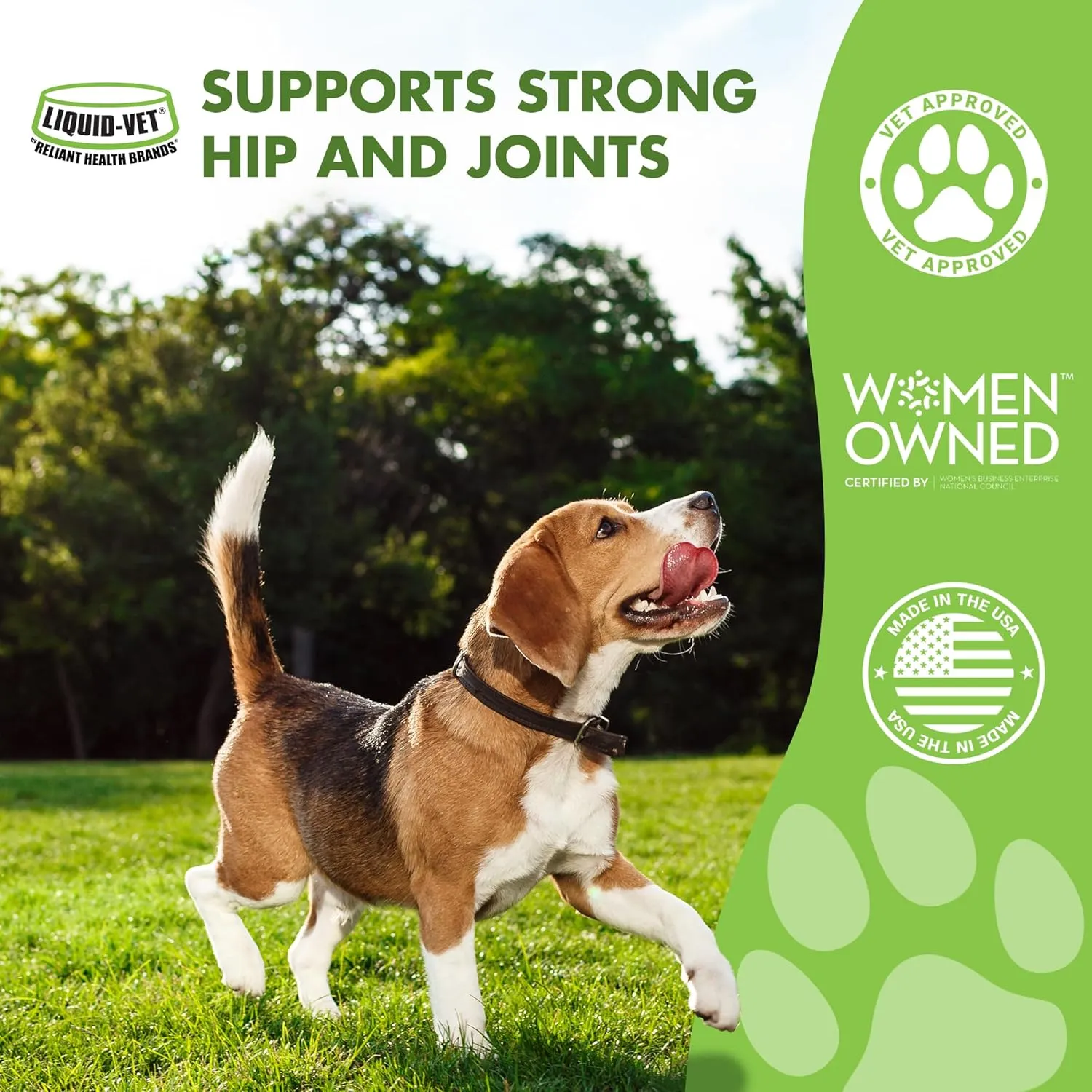 by Cool PET Holistics Dog Hip & Joint Advanced Supplement (Pot Roast, 32 oz)