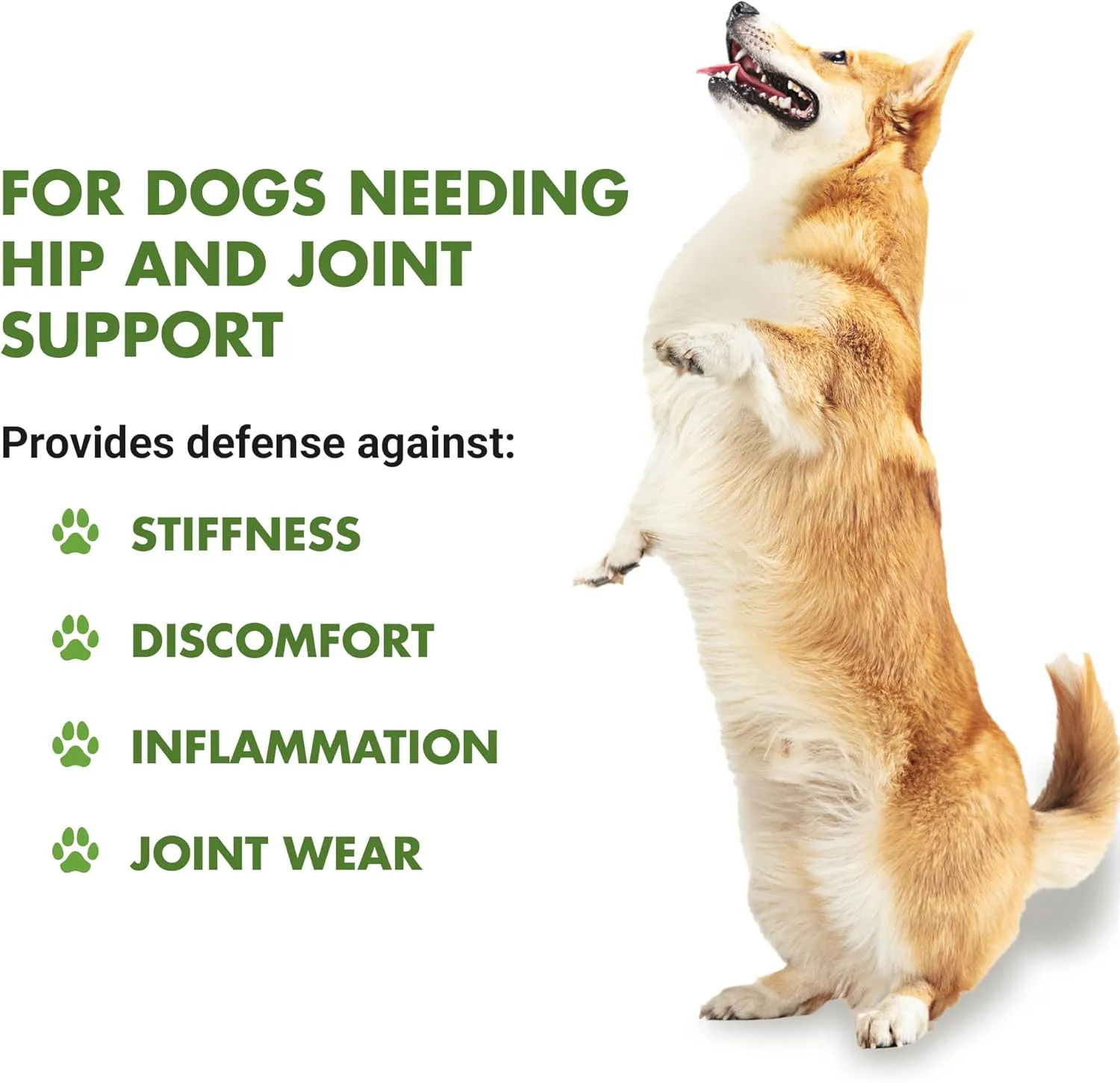 by Cool PET Holistics Dog Hip & Joint Advanced Supplement (Pot Roast, 32 oz)