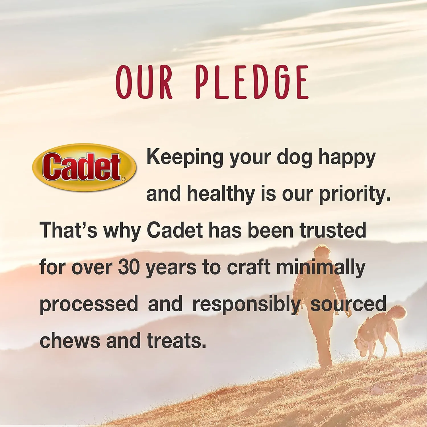 Cadet Bully Hide Sticks for Large Dogs, All-Natural Beef Pizzle, Limited-Ingredient Long-Lasting Dog Chews for Aggressive Chewers, 1 Count