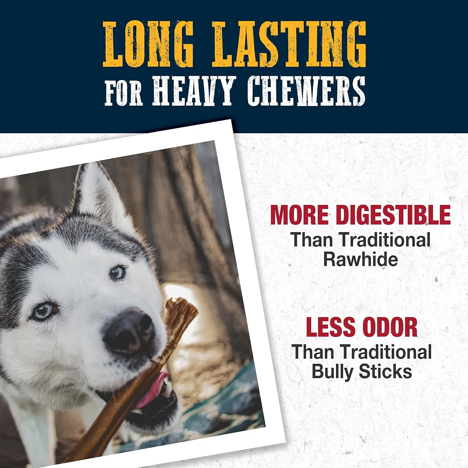 Cadet Bully Hide Sticks for Large Dogs, All-Natural Beef Pizzle, Limited-Ingredient Long-Lasting Dog Chews for Aggressive Chewers, 1 Count