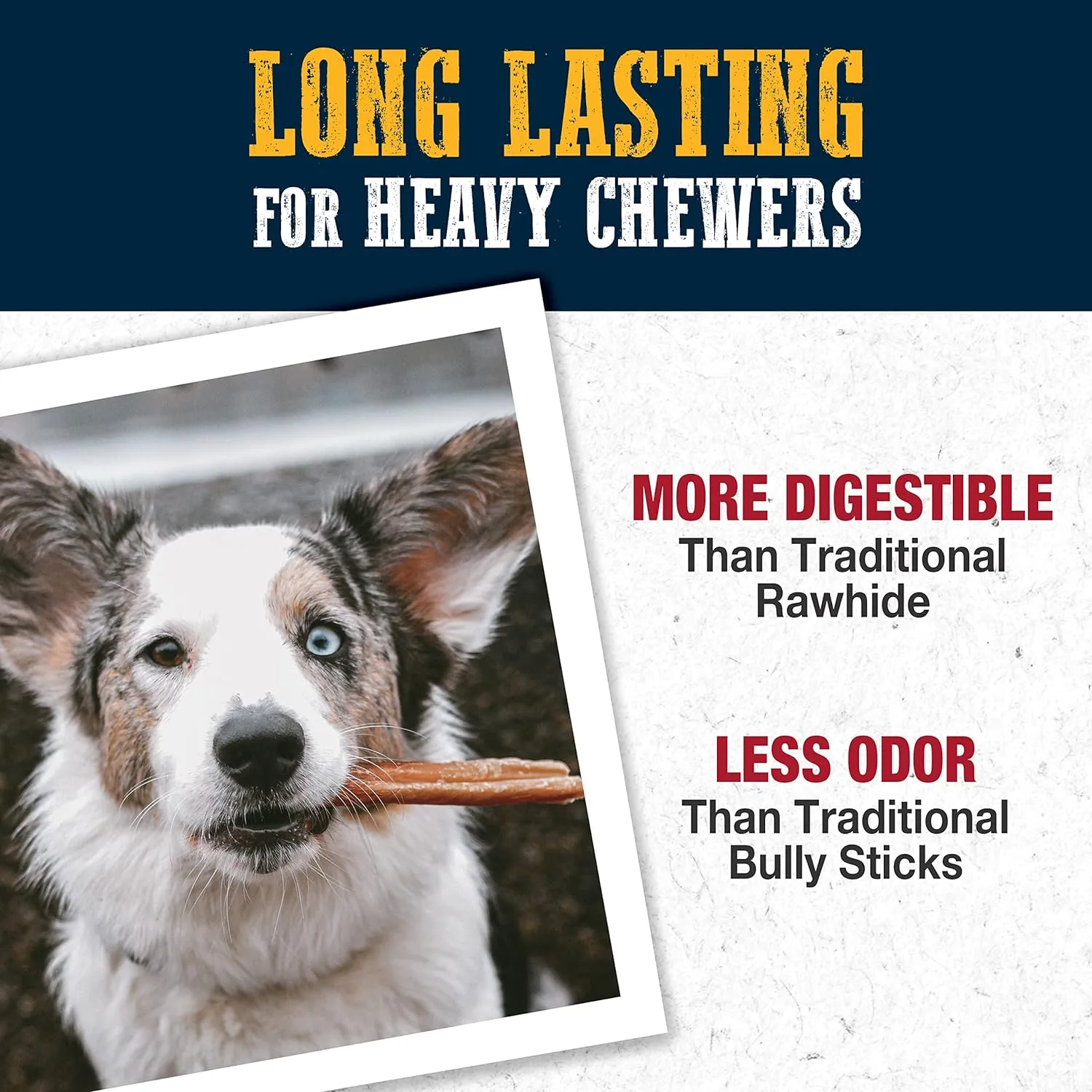 Cadet Bully Hide Sticks for Small Dogs, All-Natural Beef Pizzle, Limited-Ingredient Long-Lasting Dog Chews for Aggressive Chewers, 9 Count