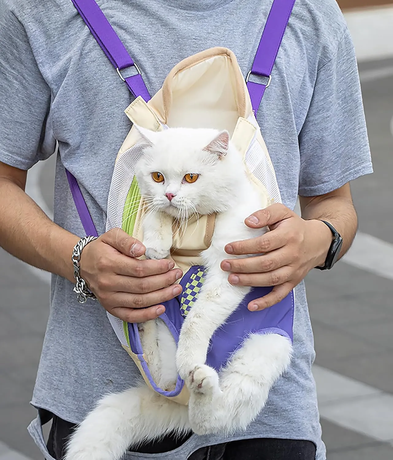 Cat Carrier Backpack Head Out, Small Pet Dog Front Carrier for Hiking Travel, Adjustable Cat Chest Ventilated Kitten Carrier for Cycling Walking, Fits for 6lbs, Purple