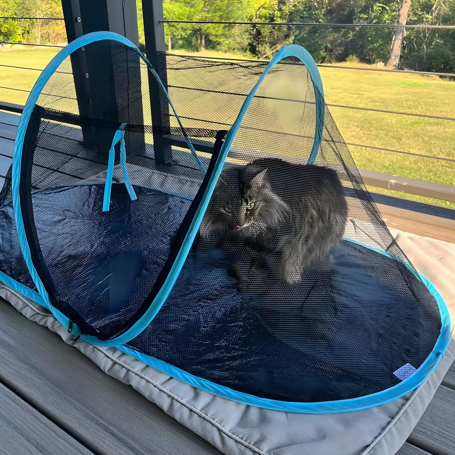 Cat Tent Outdoor, Pet Enclosure Tent Suitable for Cats and Small Animals, Indoor Playpen Portable Exercise Tent with Carry Bag(Orange)