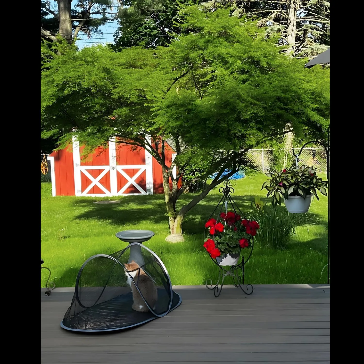 Cat Tent Outdoor, Pet Enclosure Tent Suitable for Cats and Small Animals, Indoor Playpen Portable Exercise Tent with Carry Bag(Orange)