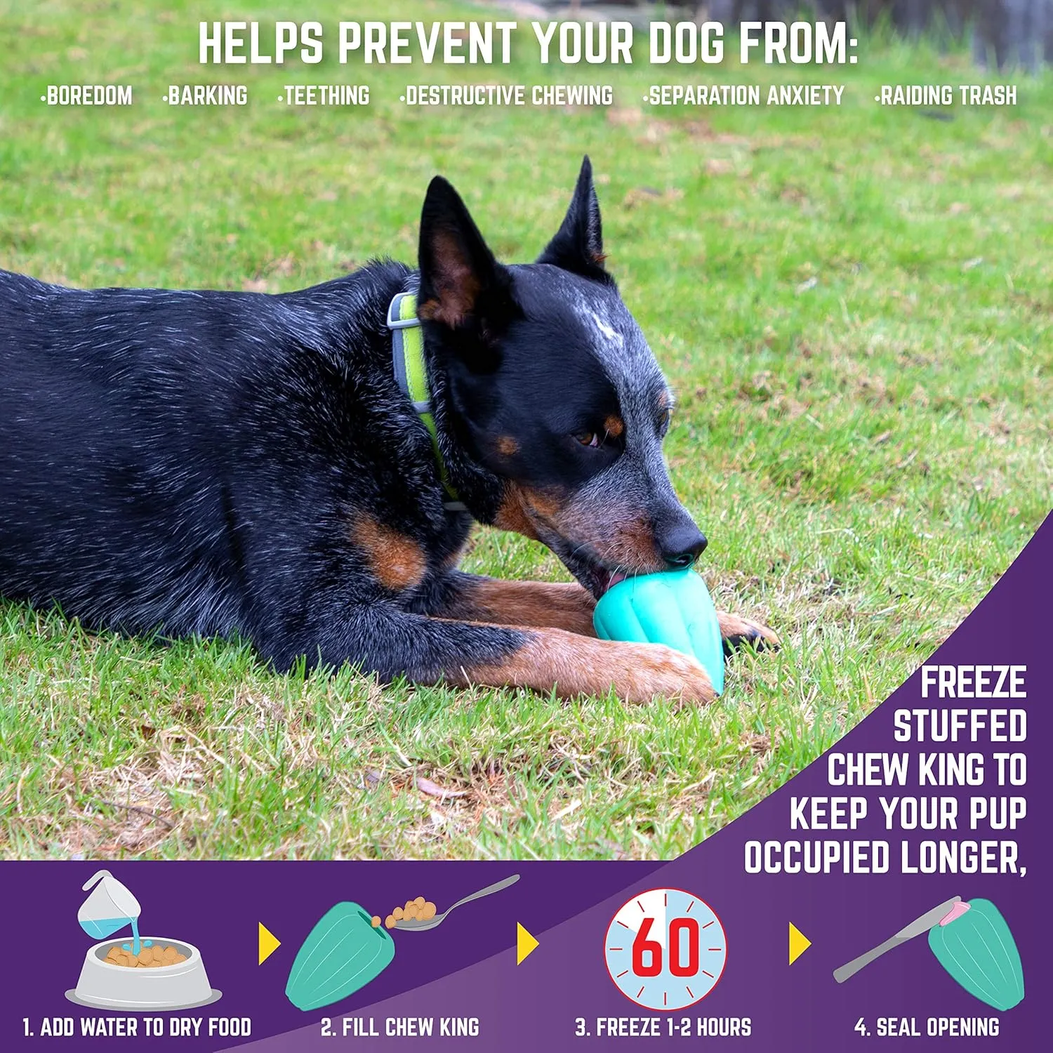 Chew King Dog Box XLarge- Durable Fetch Balls, Treater and Chewing Toy Collection, Teal, CM-10101-CS01