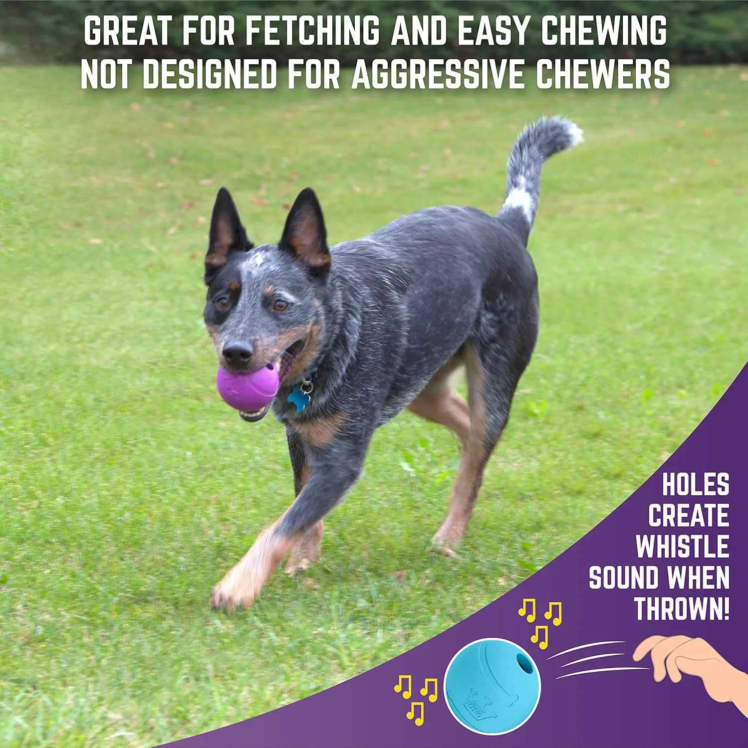 Chew King Dog Box XLarge- Durable Fetch Balls, Treater and Chewing Toy Collection, Teal, CM-10101-CS01