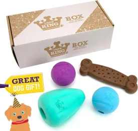 Chew King Dog Box XLarge- Durable Fetch Balls, Treater and Chewing Toy Collection, Teal, CM-10101-CS01