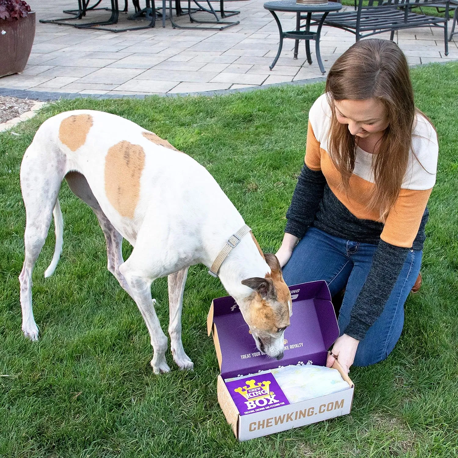 Chew King Dog Box XLarge- Durable Fetch Balls, Treater and Chewing Toy Collection, Teal, CM-10101-CS01