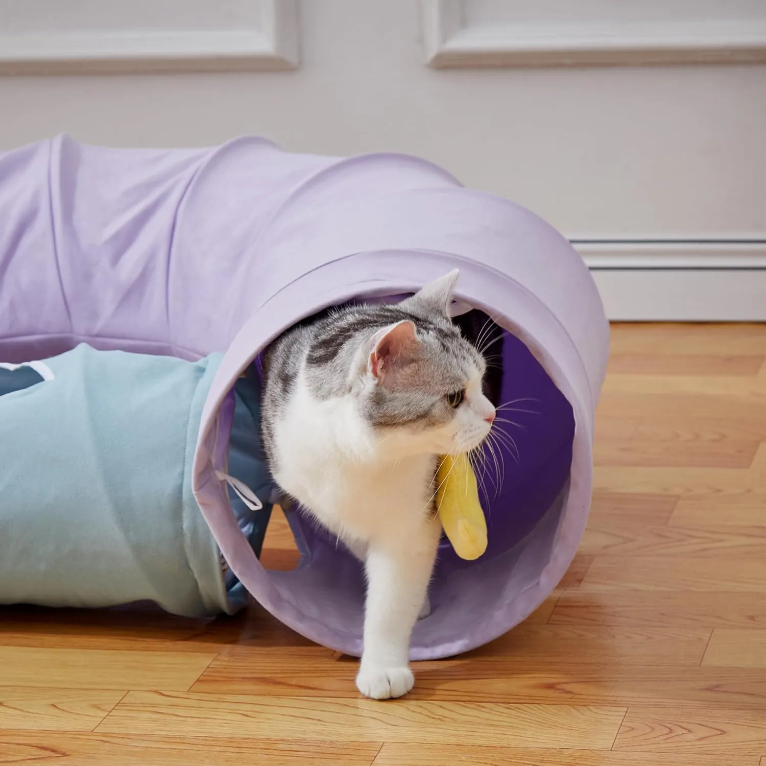 Collapsible Large Cat Tunnel in Purple - Cute Play Tunnel for Cats, Kittens, Puppies, and Rabbits