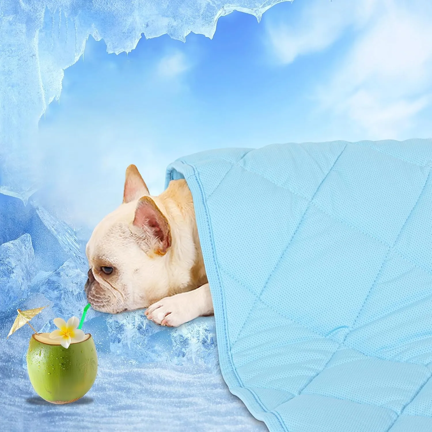 DELIFUR Dog Cooling Blanket - Lightweight Dog Self Cooling Mat Bed Cover for Summer for Medium Large Dogs Throw Blanket for Kennel Sofa Couch Washable (M: 39.4"x27.5")