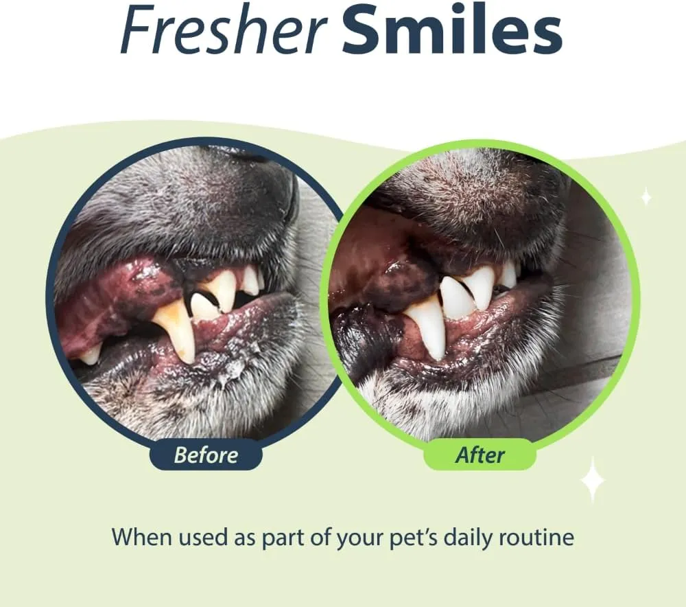 Dental Fresh Water Additive for Cats, Original Formula, 8 oz  Cat Breath Freshener  Products for Cats to Help Overall Cat Dental Health