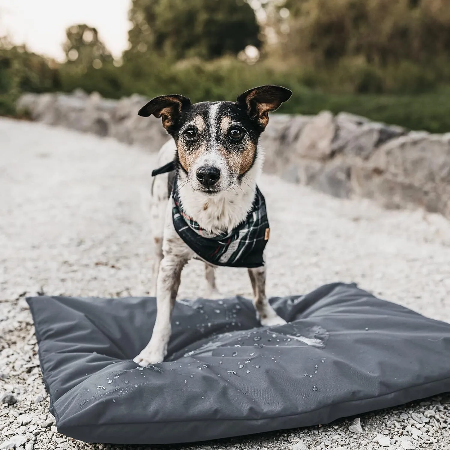 Dog Bed Covers Replacement Washable, 30L X 20W X 3H inch Washable Removable Orthopedic, Cooling Gel and Memory Foam pet Bed Protector Cover. Cover only (Gray)