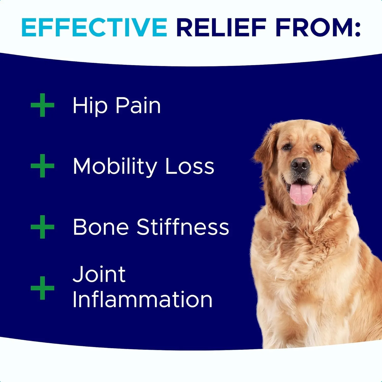 Dog Joint Supplement Large Breed - Glucosamine & Chondroitin Treats for Dogs - Supplement w/Omega-3, MSM - Made in USA - Joint Pain Relief - 240 Mobility Chews