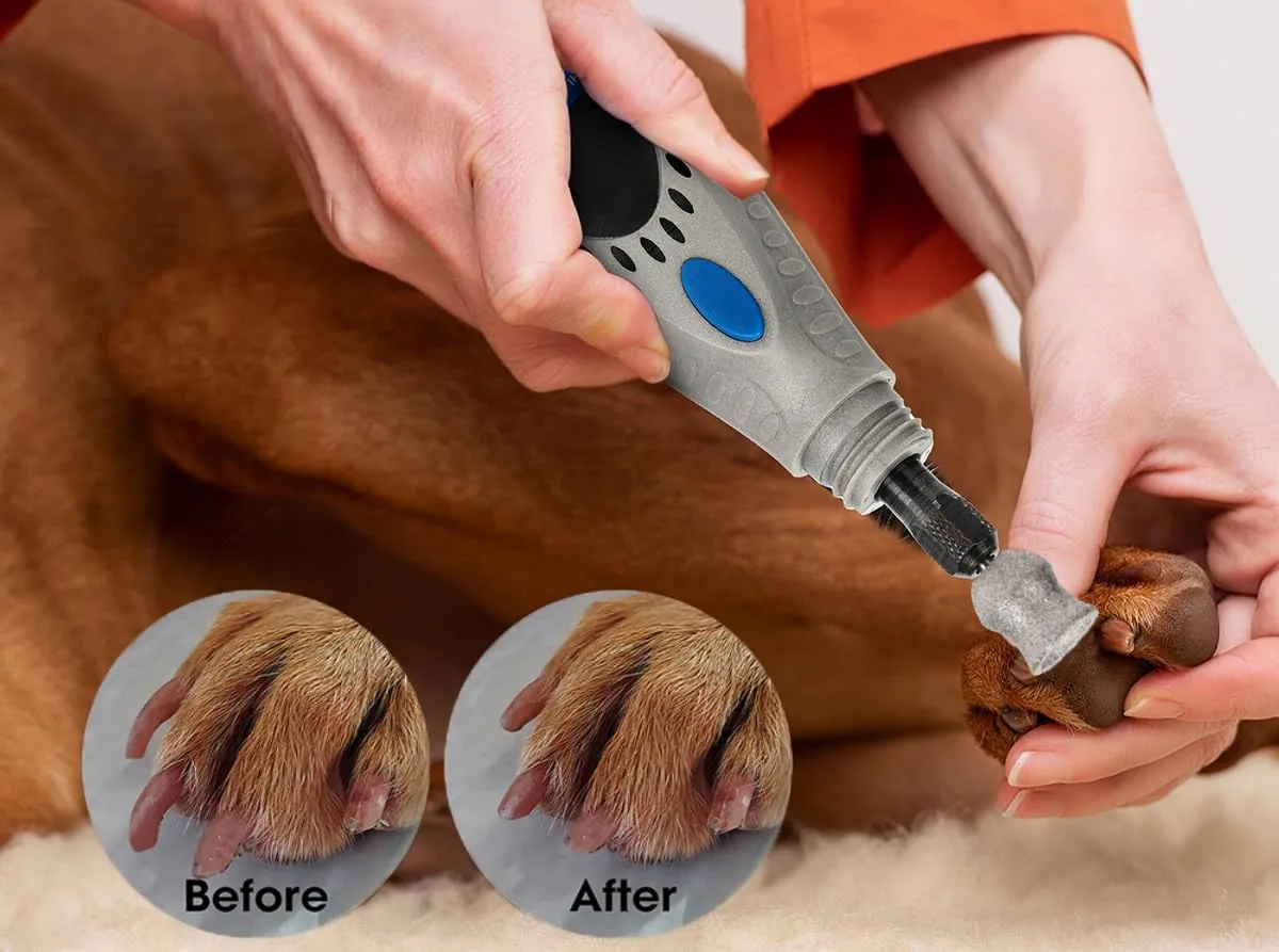 for Dremel Dog Nail Grinder - Diamond Bits Attachment for Dog Nail - 1/8'' Painless Nail Grinder Bits Won't Pull Hair or Get Hot for Large Medium Small Dogs and Cats Paws Grooming