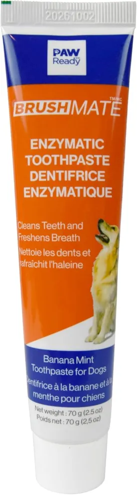 from Doggy Breath to Doggy Fresh Dog Dental Care Enzymatic Toothpaste for Dogs | Cleans Teeth and Freshens Breath | Safe for Puppies, Clinical Care, Banana Mint Flavor - 1 Pack 70g (2.5 oz)