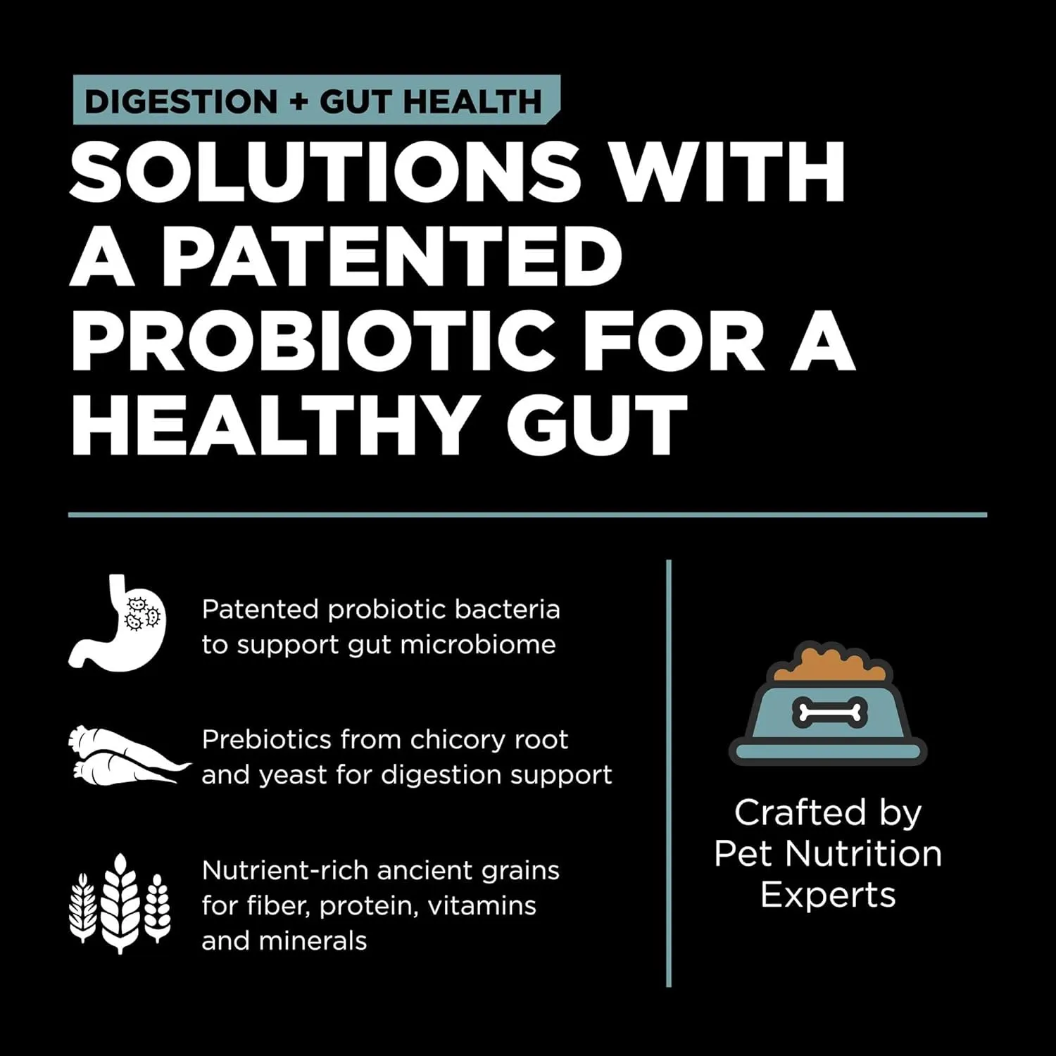 Go! Solutions Digestion   Gut Health, Dry Dog Food, Chicken Recipe with Ancient Grains, 12 lb Bag