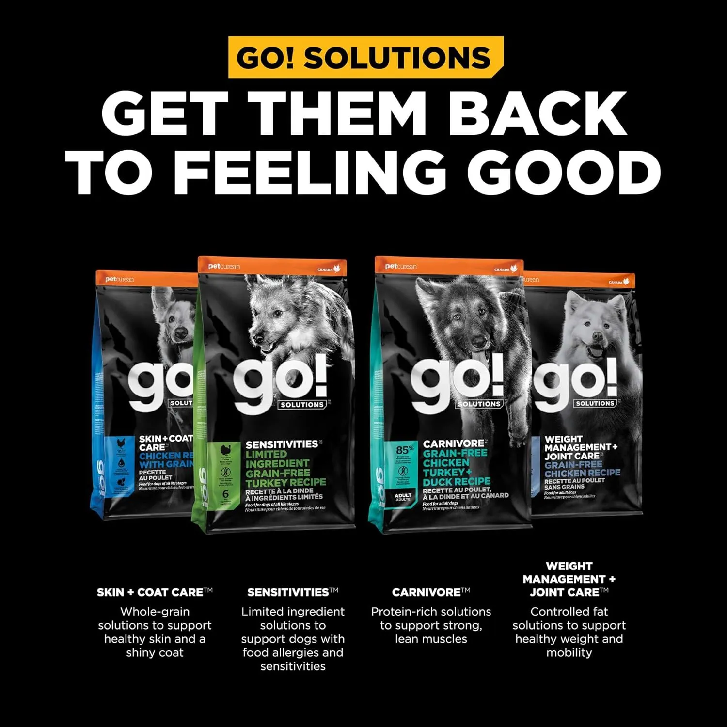 Go! Solutions Digestion   Gut Health, Dry Dog Food, Chicken Recipe with Ancient Grains, 12 lb Bag
