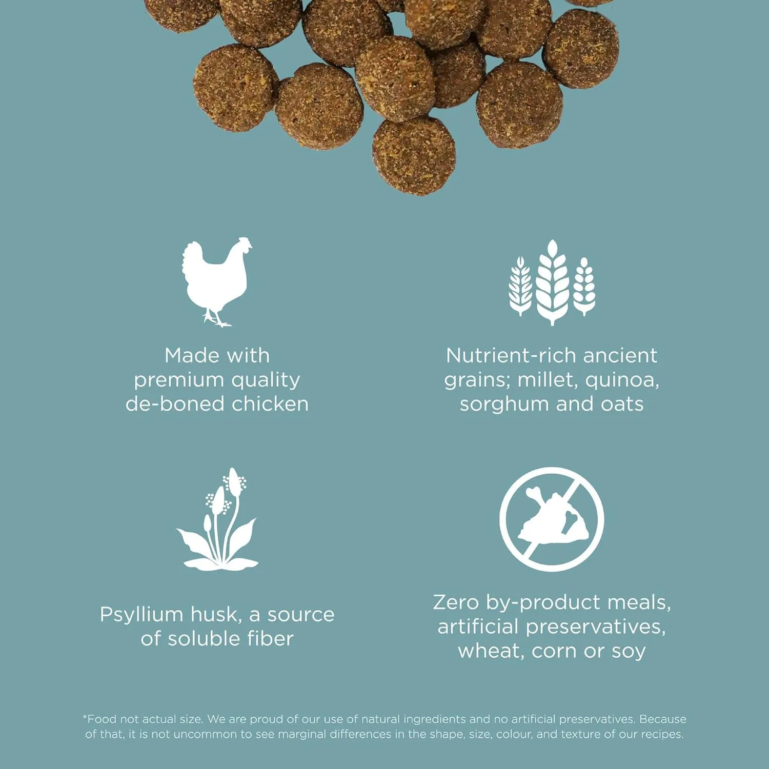 Go! Solutions Digestion   Gut Health, Dry Dog Food, Chicken Recipe with Ancient Grains, 12 lb Bag