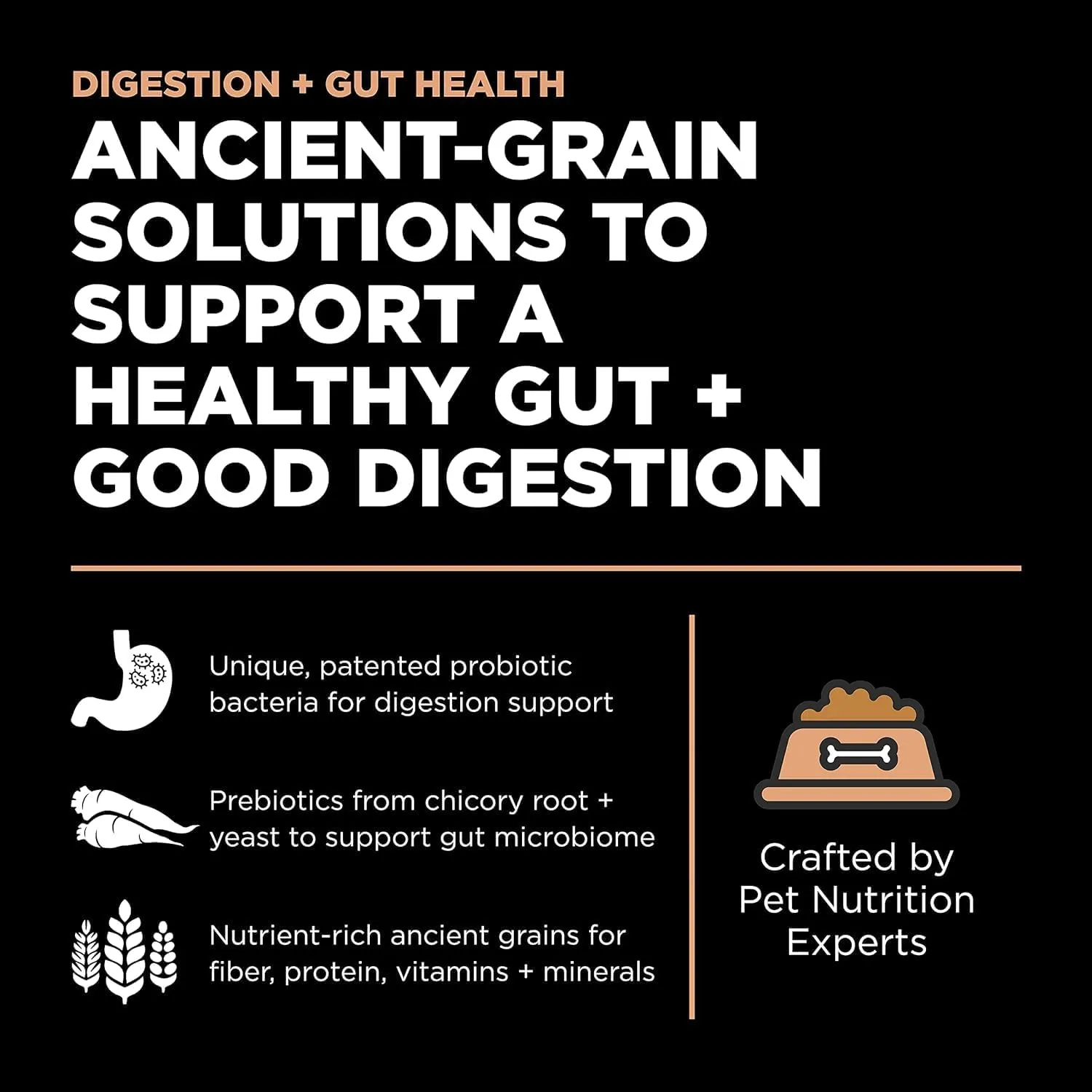 Go! Solutions Digestion   Gut Health, Dry Dog Food, Salmon Recipe with Ancient Grains, 22 lb Bag