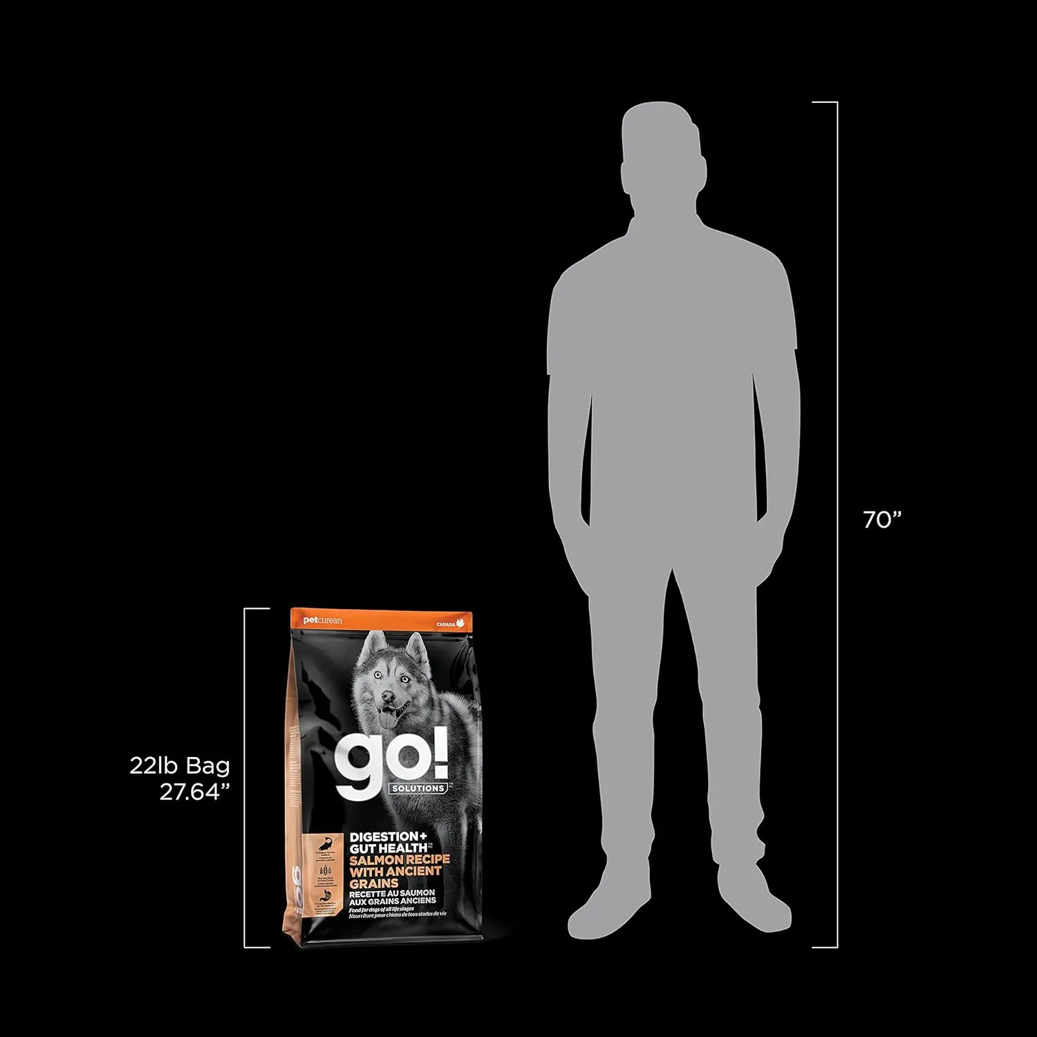 Go! Solutions Digestion   Gut Health, Dry Dog Food, Salmon Recipe with Ancient Grains, 22 lb Bag