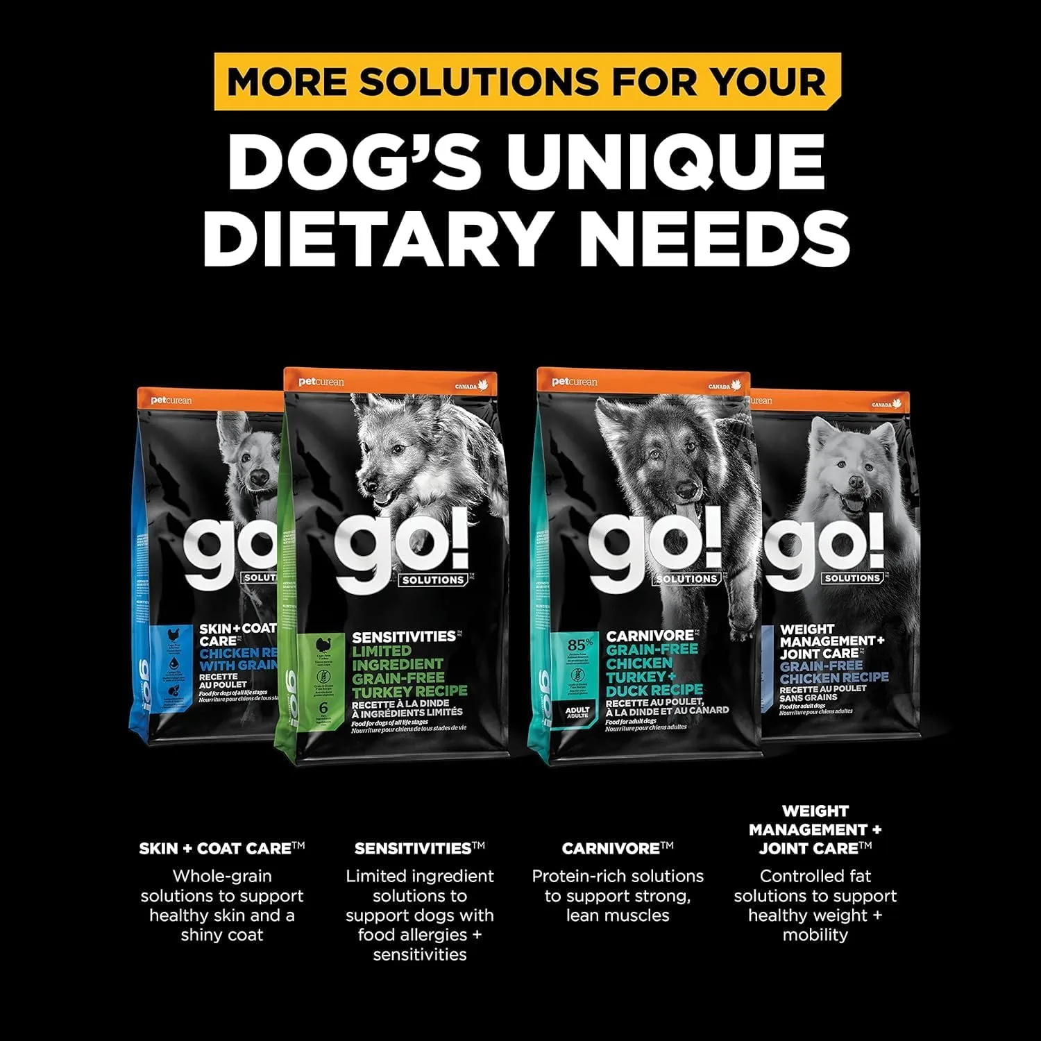 Go! Solutions Digestion   Gut Health, Dry Dog Food, Salmon Recipe with Ancient Grains, 22 lb Bag