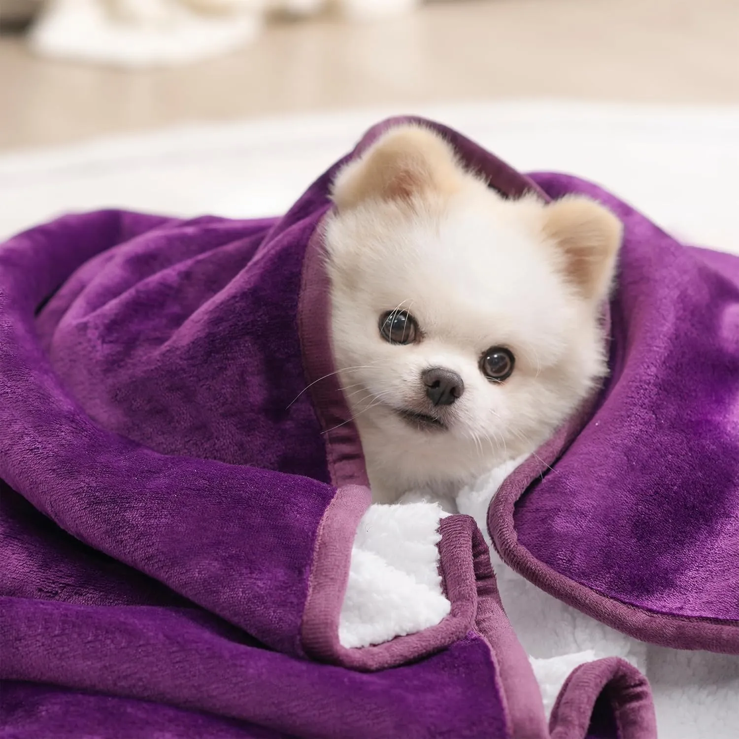 gogobunny Waterproof Bed Blanket, Reversible Sherpa Fleece Throw Blanket for Dog Puppy Cat, Furniture Cover Protects Bed Couch Sofa from Liquid Pee and Pet Fur (Dark Purple, 60x80 inches)