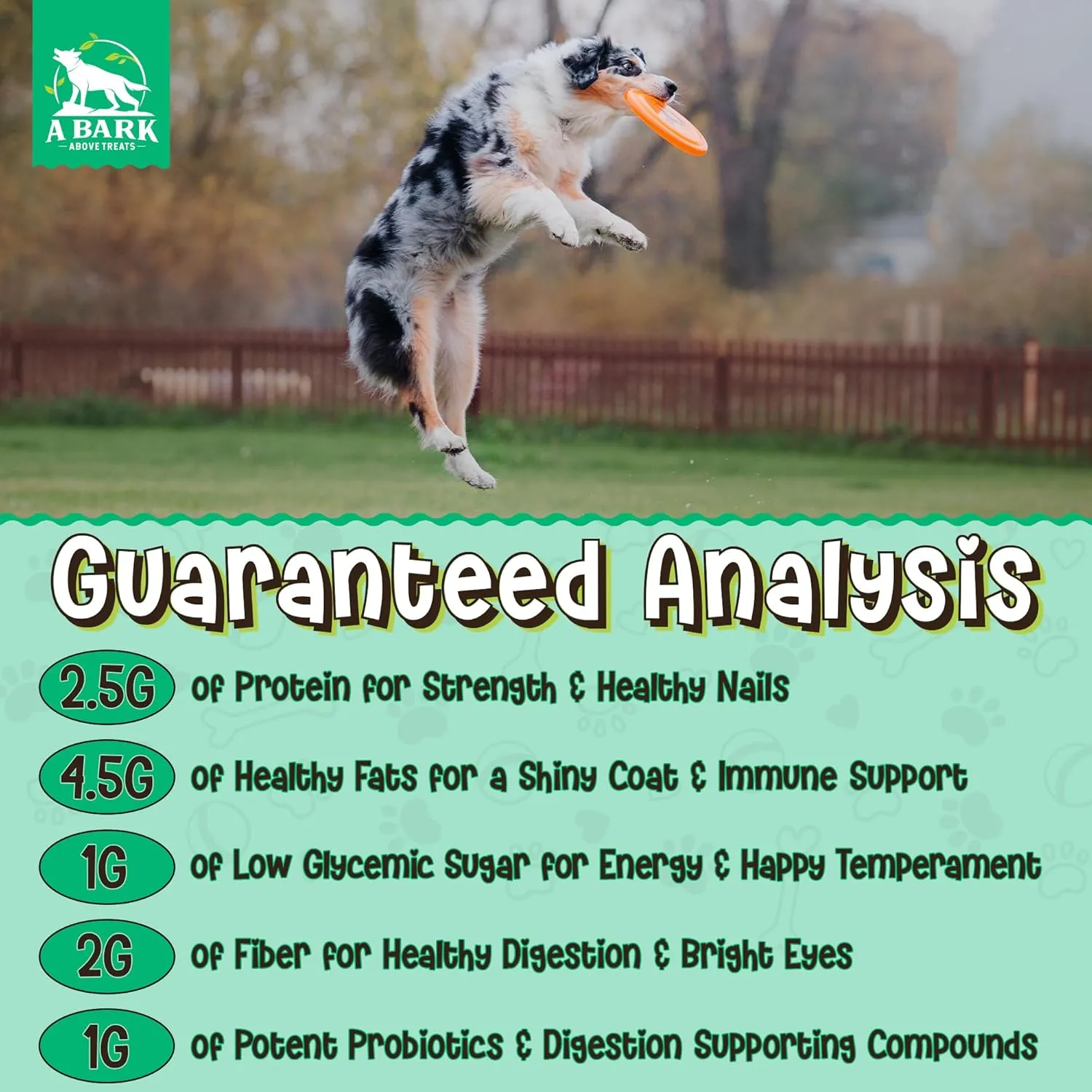 Gut & Digestive Pre & Probiotic Dog Peanut Butter Spread, All Natural Dog Treat. Human Grade & Safe Puppy Food, Peanuts & Blueberries for Digestion, Inflammation, Grown & Made in USA