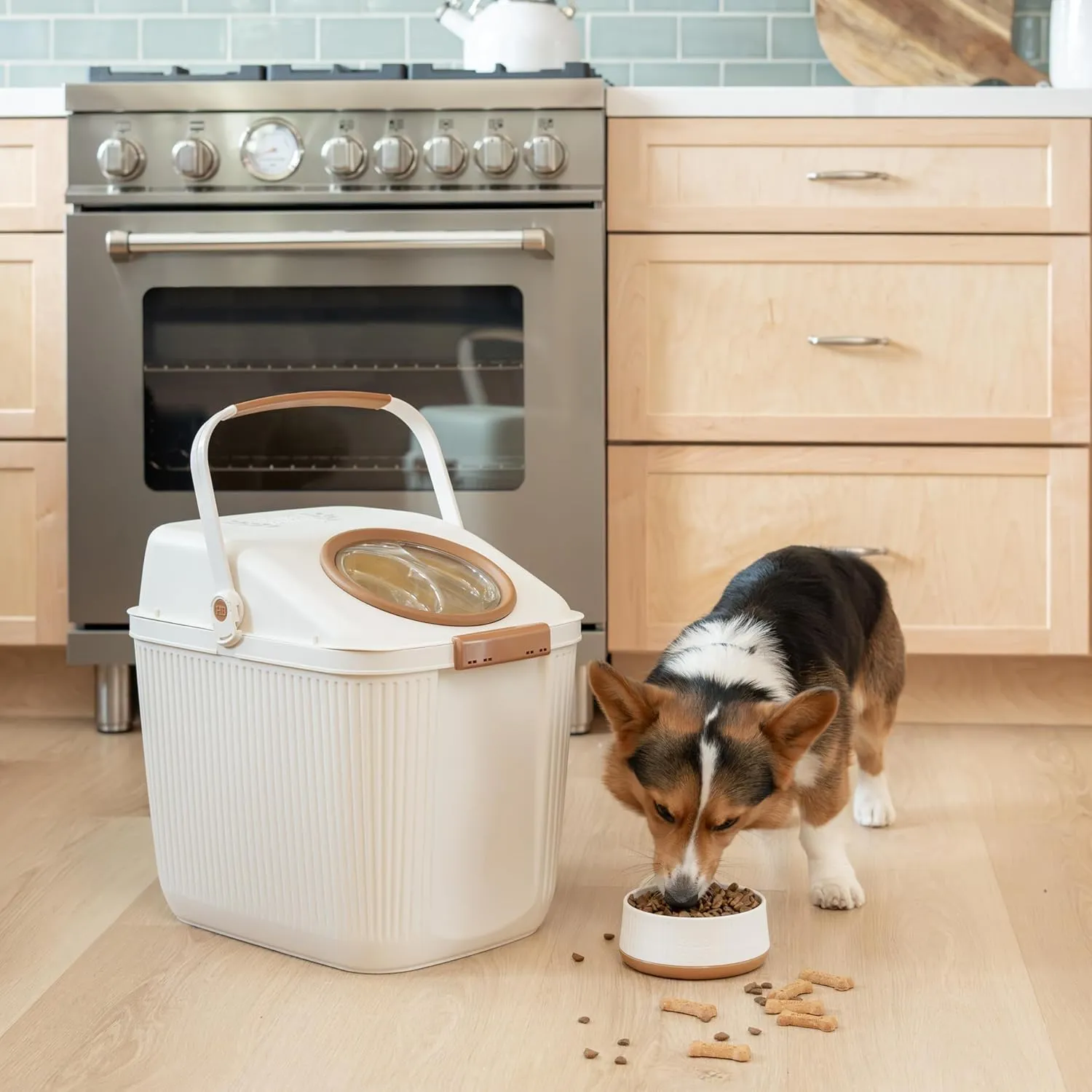 Harry Barker Small Plastic Modern Dog Bowls - 2 Pack