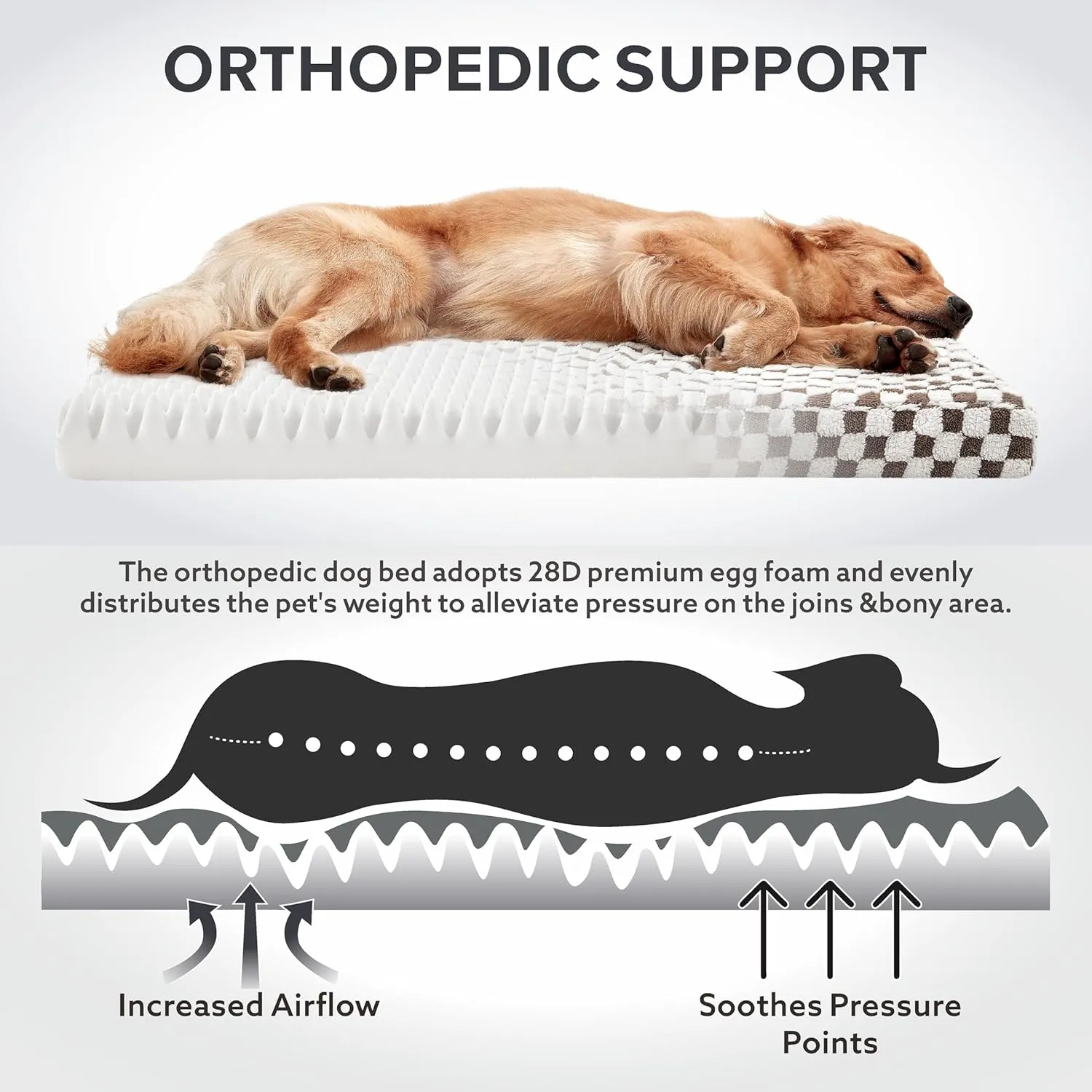JOEJOY Dog Bed for Large Dogs, Large Orthopedic Dog Bed with Removable Washable Cover, Cute Modern Plush & Memory Egg Crate Foam Dog Bed, 36 x 27 inch, Cofffee