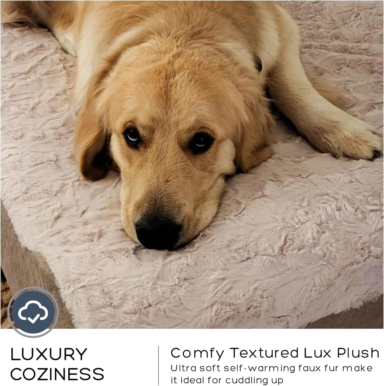 Jumbo Orthopedic Dog Bed for Large Dogs - 7-inch Thick Memory Foam Dog Bed with Pillow Removable Cover Machine Washable (Off-White | Textured Plush), 50''L x 34''W x 10''Th I Extra Large