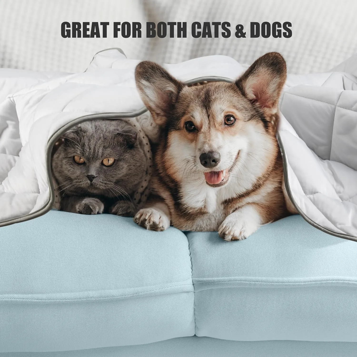 Leekalos Dog Cooling Mat,Pet Cooling Pads for Dogs Blanket,Summer Cooling Bed for Cats Blanket,Portable Pet Cooling Cushion for Home & OutdoorKeep Cooling for Pets (Cool Grey, Small(22"x28"))