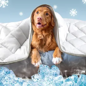 Leekalos Dog Cooling Mat,Pet Cooling Pads for Dogs Blanket,Summer Cooling Bed for Cats Blanket,Portable Pet Cooling Cushion for Home & OutdoorKeep Cooling for Pets (Cool Grey, Small(22"x28"))