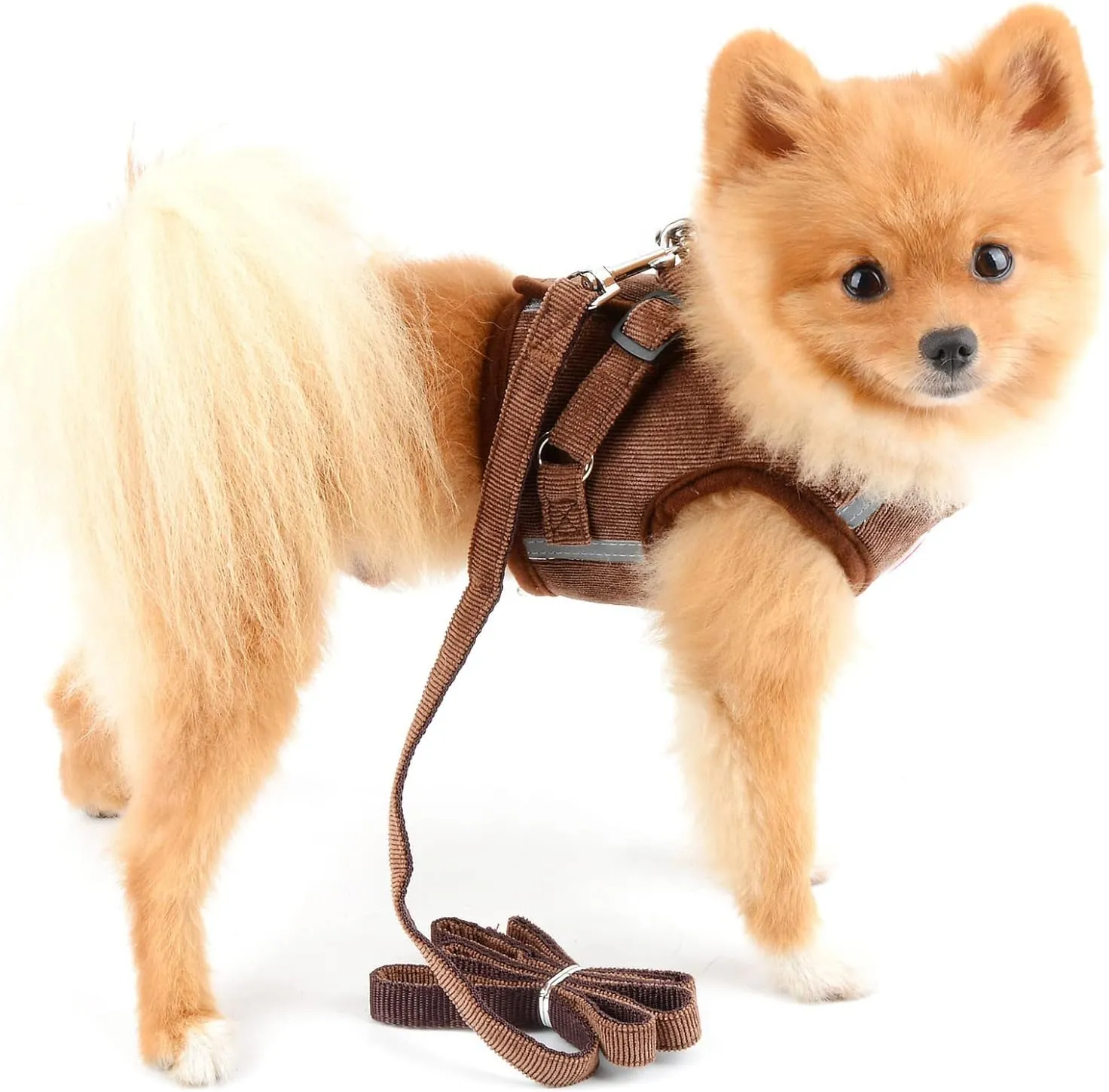 Mesh Harness for Small Dogs Large Cats No Pull No Choke Escape Proof Padded Vest Puppy Leash Lead for Kitten Walking Jacket Adjustable Training Collar Corduroy Soft Comfy Material