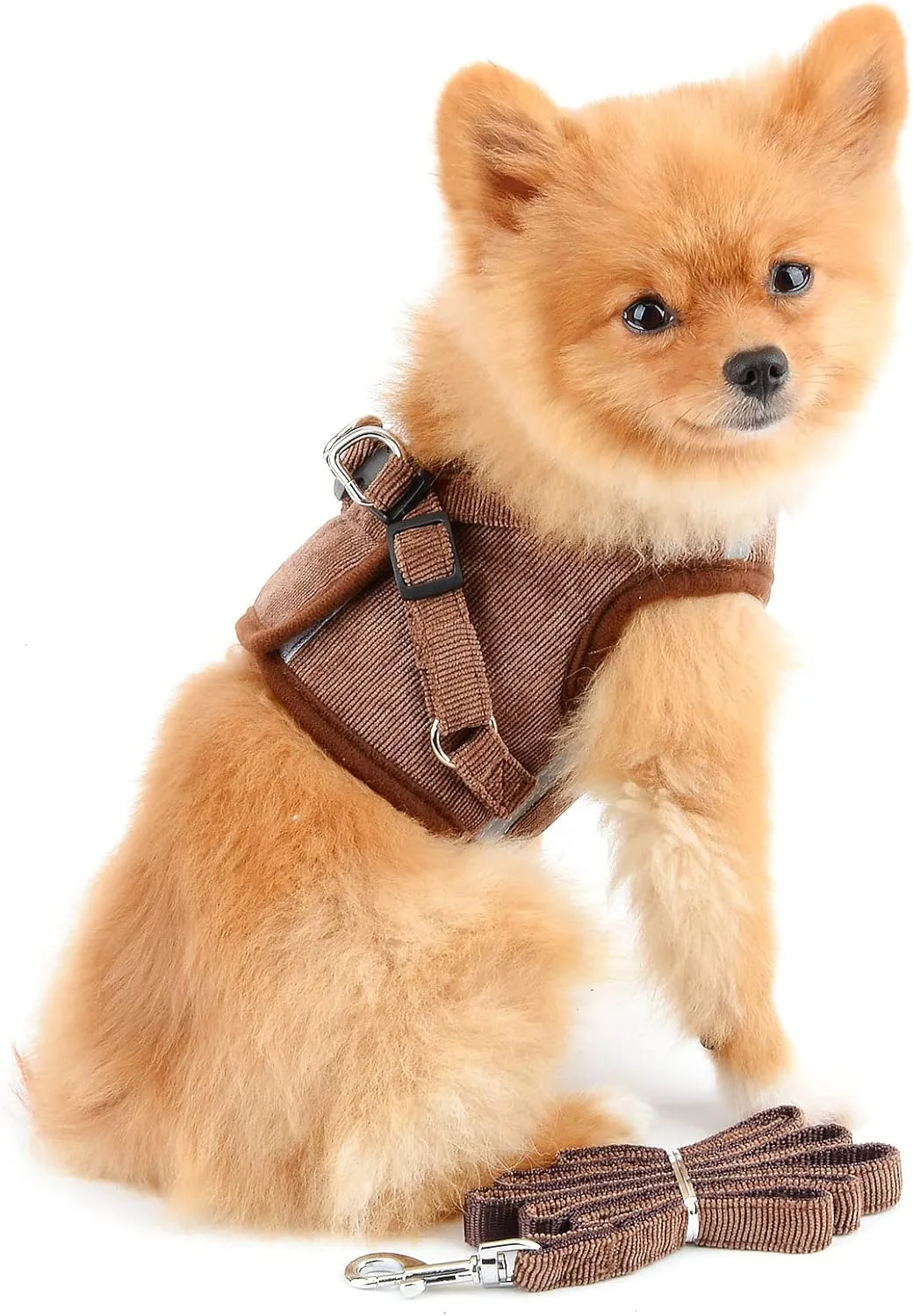 Mesh Harness for Small Dogs Large Cats No Pull No Choke Escape Proof Padded Vest Puppy Leash Lead for Kitten Walking Jacket Adjustable Training Collar Corduroy Soft Comfy Material
