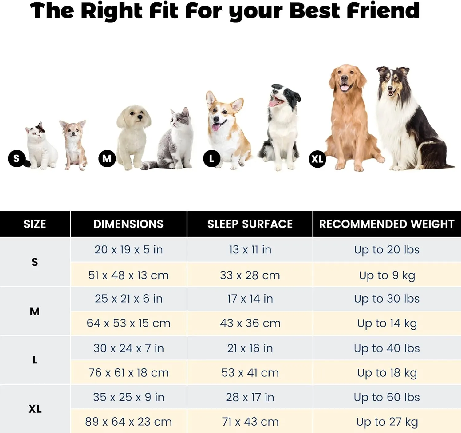 Miguel Dog Bed with Removable Cushion/Pillow for Medium Small Dogs, Washable Pet Bed with Side Easy to Wash Puppy Bed, Large Rectangle Cat Bed for Indoor Cat with Anti-Slip Bottom, Blue 25 Inch