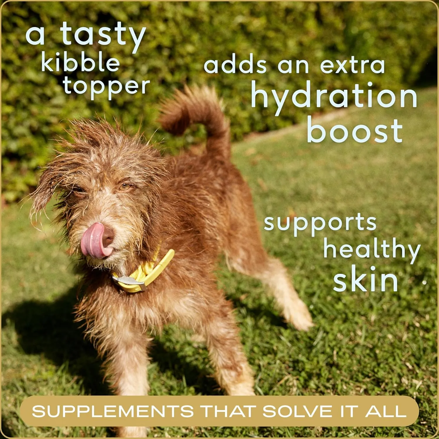 Native Pet Bone Broth for Dogs and Cats - Made with Real Beef Bone Broth, Dog Food Toppers for Picky Eaters - Provides Extra Hydration & Nutrition for Joint Strength, Immunity & Heart Health-48 Scoops