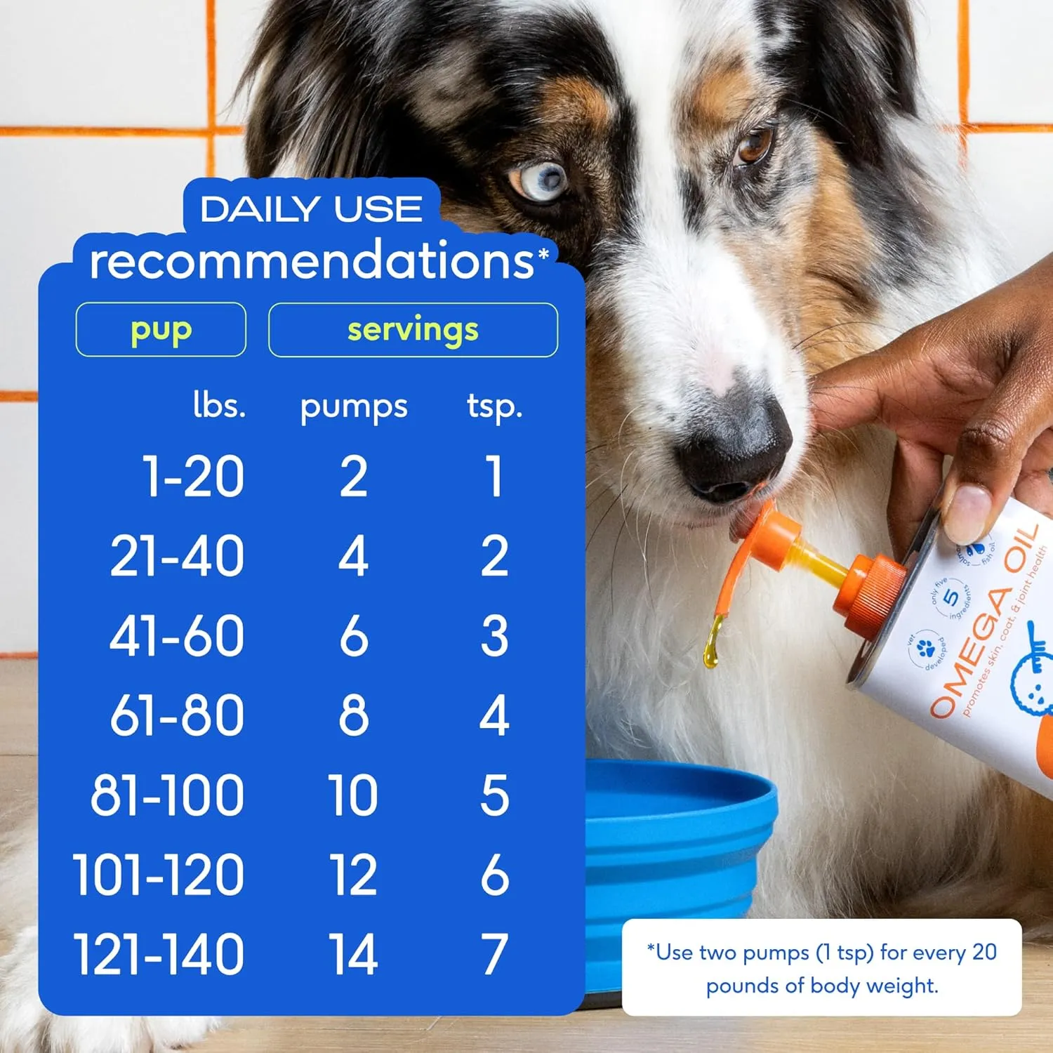 Native Pet Omega 3 Fish Oil for Dogs & Cats - Promotes Healthy Skin, Shiny Coat, & Strong Joints - Made with Wild Alaskan Salmon Oil for Dogs  Tasty, Fast-Absorbing Omega 3 6 9 Liquid Supplement- 8oz