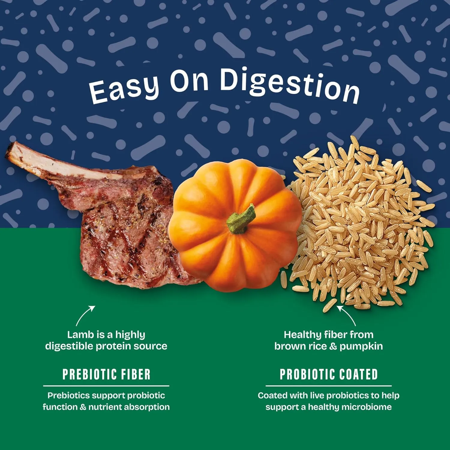 Natural Balance Health Protection Dry Dog Food  Whole Body Health, Easy on Digestion Dog Food Made with Lamb, Brown Rice & Pumpkin for Dogs - 24lbs.
